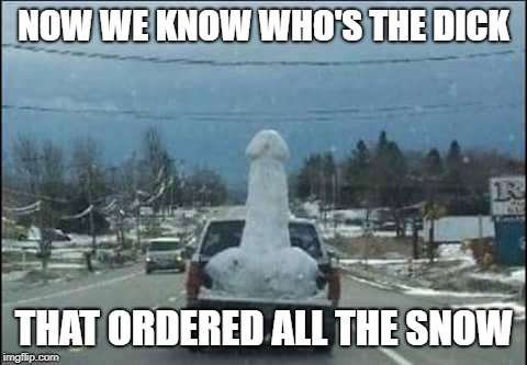 Snow Peen | NOW WE KNOW WHO'S THE DICK; THAT ORDERED ALL THE SNOW | image tagged in snow peen | made w/ Imgflip meme maker