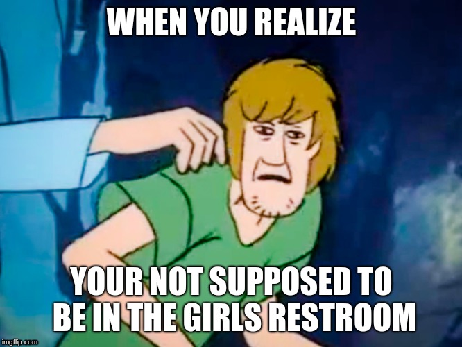 Shaggy meme | WHEN YOU REALIZE; YOUR NOT SUPPOSED TO BE IN THE GIRLS RESTROOM | image tagged in shaggy meme | made w/ Imgflip meme maker