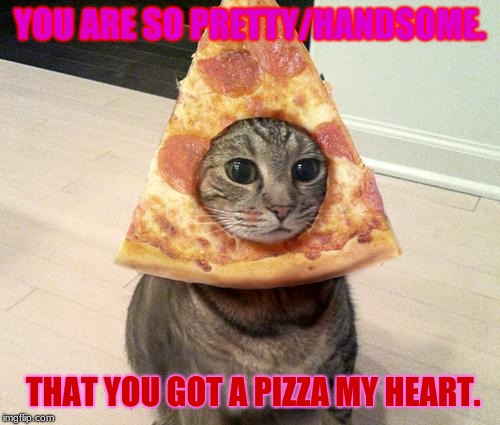 pizza cat | YOU ARE SO PRETTY/HANDSOME. THAT YOU GOT A PIZZA MY HEART. | image tagged in pizza cat | made w/ Imgflip meme maker