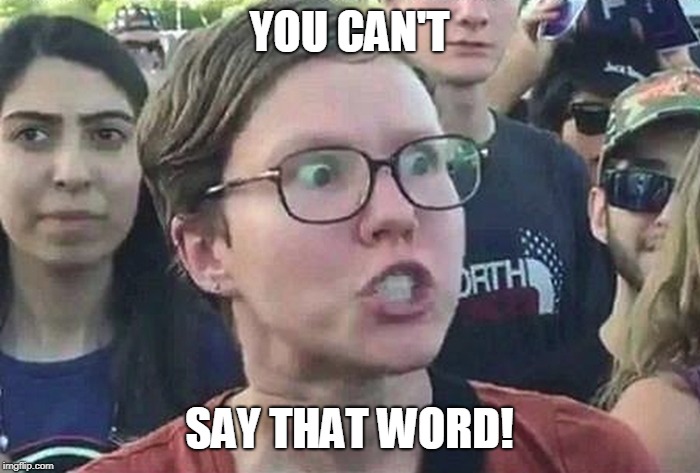 Triggered Liberal | YOU CAN'T SAY THAT WORD! | image tagged in triggered liberal | made w/ Imgflip meme maker