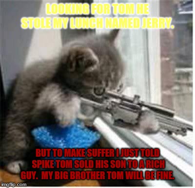 cats with guns | LOOKING FOR TOM HE STOLE MY LUNCH NAMED JERRY. BUT TO MAKE SUFFER I JUST TOLD SPIKE TOM SOLD HIS SON TO A RICH GUY.  MY BIG BROTHER TOM WILL BE FINE. | image tagged in cats with guns | made w/ Imgflip meme maker