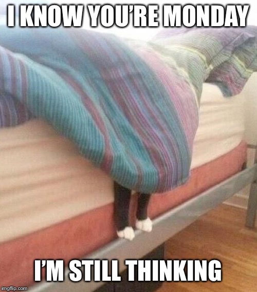 I KNOW YOU’RE MONDAY; I’M STILL THINKING | made w/ Imgflip meme maker