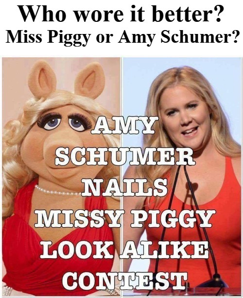 Who wore it better? Miss Piggy or Amy Schumer? | Miss Piggy or Amy Schumer? | image tagged in miss piggy,amy schumer,oink oink,soooey | made w/ Imgflip meme maker