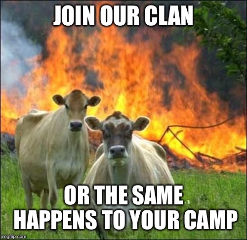 Evil Cows Meme | JOIN OUR CLAN OR THE SAME HAPPENS TO YOUR CAMP | image tagged in memes,evil cows | made w/ Imgflip meme maker