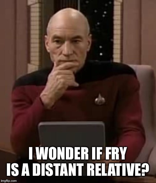 picard thinking | I WONDER IF FRY IS A DISTANT RELATIVE? | image tagged in picard thinking | made w/ Imgflip meme maker