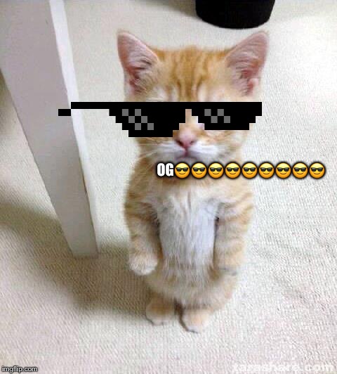 Cute Cat | OG😎😎😎😎😎😎😎😎😎 | image tagged in memes,cute cat | made w/ Imgflip meme maker