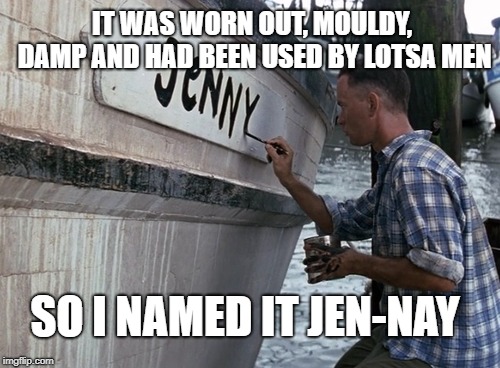 IT WAS WORN OUT, MOULDY, DAMP AND HAD BEEN USED BY LOTSA MEN; SO I NAMED IT JEN-NAY | image tagged in forest gump | made w/ Imgflip meme maker
