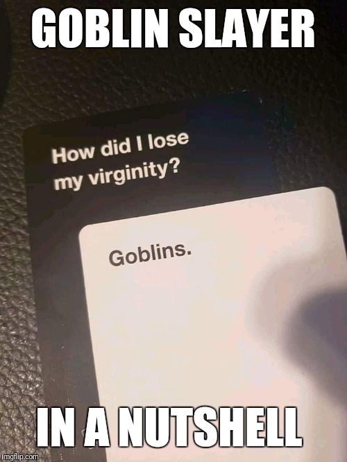 Goblin Slayer in a nutshell  | GOBLIN SLAYER; IN A NUTSHELL | image tagged in anime meme,memes,funny memes | made w/ Imgflip meme maker