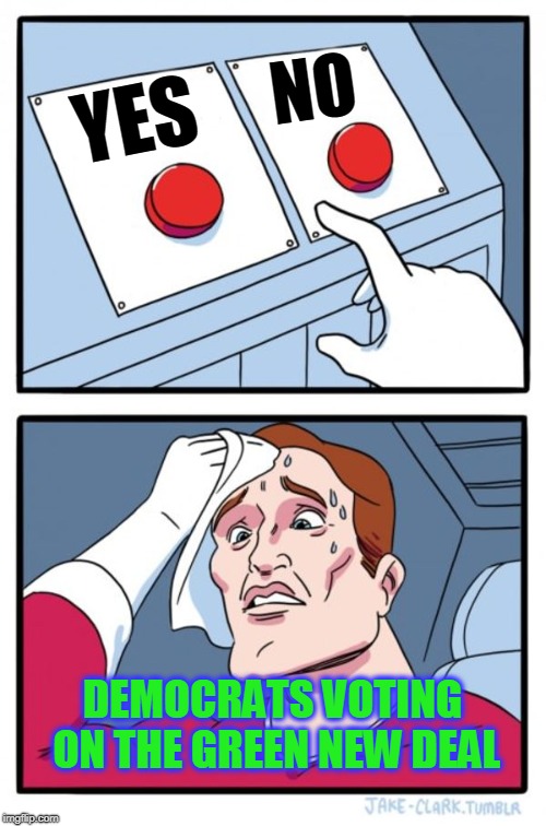 Two Buttons | NO; YES; DEMOCRATS VOTING ON THE GREEN NEW DEAL | image tagged in memes,two buttons | made w/ Imgflip meme maker