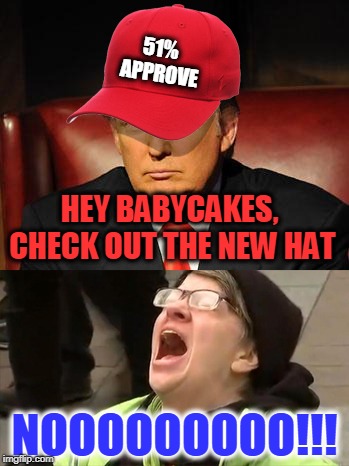 Tormentor in Chief | 51% APPROVE; HEY BABYCAKES, CHECK OUT THE NEW HAT; NOOOOOOOOO!!! | image tagged in trump hat no,tormentor in chief | made w/ Imgflip meme maker