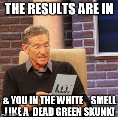 Maury Lie Detector Meme | THE RESULTS ARE IN & YOU IN THE WHITE



SMELL LIKE A  DEAD GREEN SKUNK! | image tagged in memes,maury lie detector | made w/ Imgflip meme maker