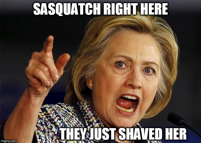 they were tryin to  hunt  Squatch down! | .                          . | image tagged in sasquatch,crooked hillary,shaved,right here | made w/ Imgflip meme maker