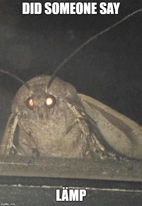 Moth | DID SOMEONE SAY; LÄMP | image tagged in moth | made w/ Imgflip meme maker