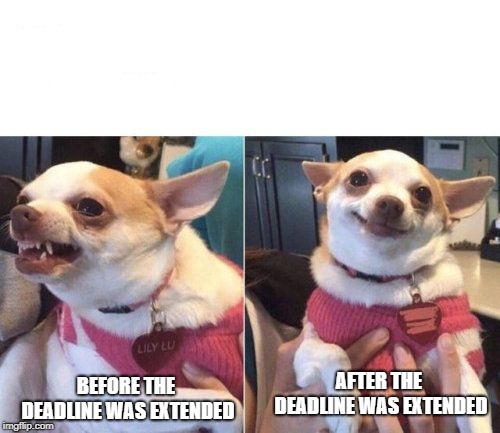 angry chihuahua happy chihuahua | AFTER THE DEADLINE WAS EXTENDED; BEFORE THE DEADLINE WAS EXTENDED | image tagged in angry chihuahua happy chihuahua | made w/ Imgflip meme maker