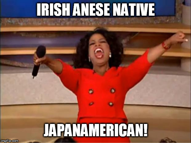 Oprah You Get A Meme | IRISH ANESE NATIVE JAPANAMERICAN! | image tagged in memes,oprah you get a | made w/ Imgflip meme maker