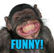 FUNNY! | image tagged in grinning chimp | made w/ Imgflip meme maker