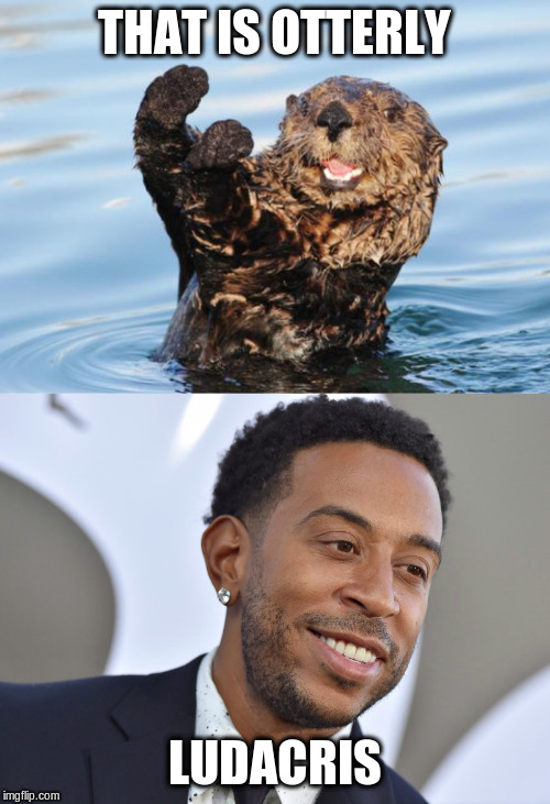 THAT IS OTTERLY LUDACRIS | image tagged in otter celebration | made w/ Imgflip meme maker