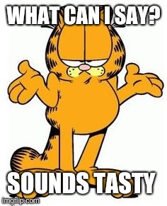 Garfield shrug | WHAT CAN I SAY? SOUNDS TASTY | image tagged in garfield shrug | made w/ Imgflip meme maker