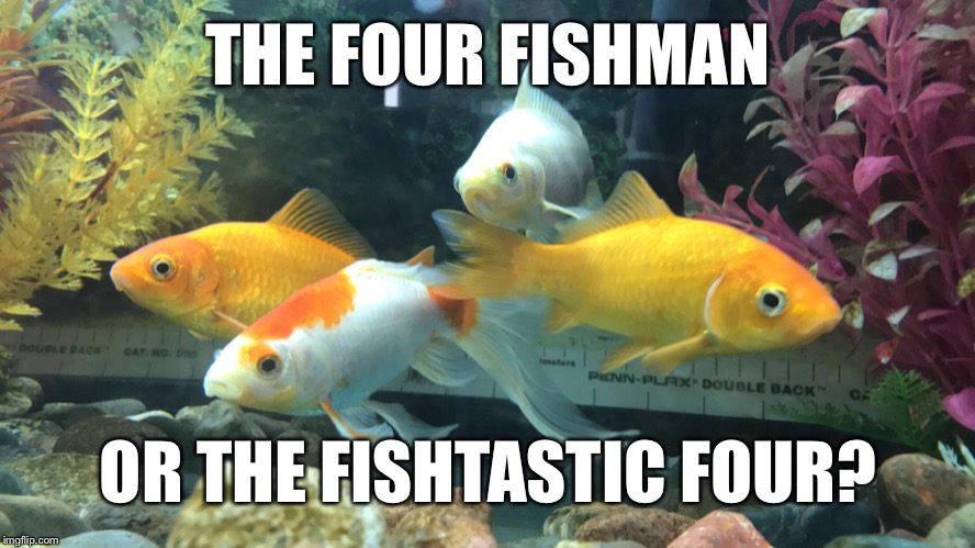 THE FOUR FISHMAN; OR THE FISHTASTIC FOUR? | image tagged in four fish | made w/ Imgflip meme maker