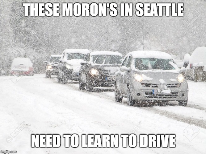 Winter Driving | THESE MORON'S IN SEATTLE; NEED TO LEARN TO DRIVE | image tagged in winter driving | made w/ Imgflip meme maker