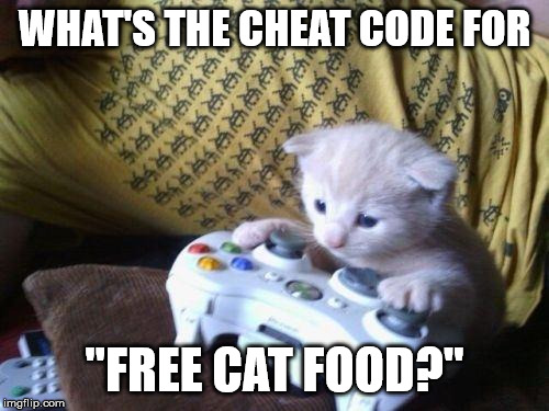 cute kitty on xbox | WHAT'S THE CHEAT CODE FOR; "FREE CAT FOOD?" | image tagged in cute kitty on xbox | made w/ Imgflip meme maker
