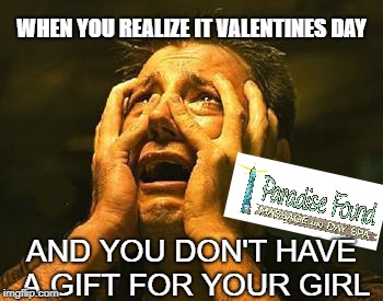 desperation | WHEN YOU REALIZE IT VALENTINES DAY; AND YOU DON'T HAVE A GIFT FOR YOUR GIRL | image tagged in desperation | made w/ Imgflip meme maker