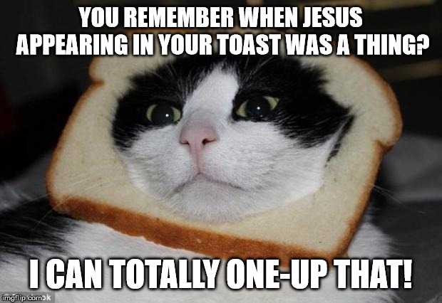 cat bread | YOU REMEMBER WHEN JESUS APPEARING IN YOUR TOAST WAS A THING? I CAN TOTALLY ONE-UP THAT! | image tagged in cat bread | made w/ Imgflip meme maker