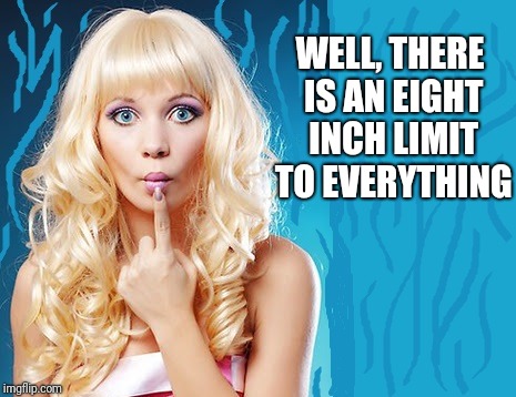 ditzy blonde | WELL, THERE IS AN EIGHT INCH LIMIT TO EVERYTHING | image tagged in ditzy blonde | made w/ Imgflip meme maker