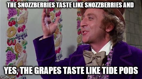 Don't go licking the wallpaper... | THE SNOZZBERRIES TASTE LIKE SNOZZBERRIES AND; YES, THE GRAPES TASTE LIKE TIDE PODS | image tagged in willy wonka | made w/ Imgflip meme maker