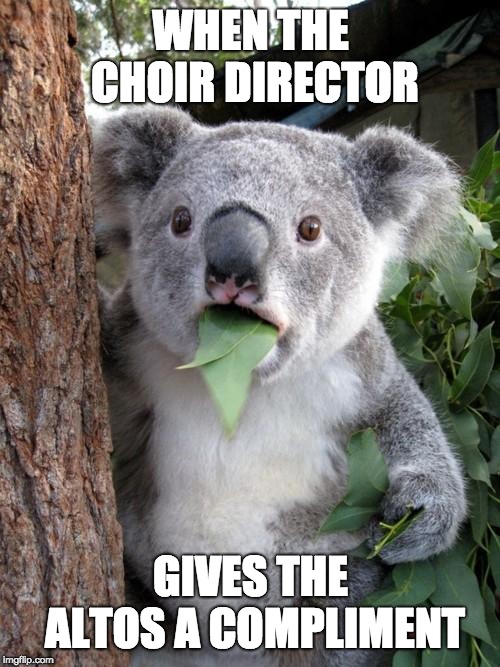 Surprised Koala | WHEN THE CHOIR DIRECTOR; GIVES THE ALTOS A COMPLIMENT | image tagged in memes,surprised koala | made w/ Imgflip meme maker