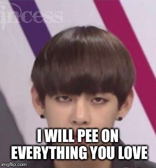 BTS V | I WILL PEE ON EVERYTHING YOU LOVE | image tagged in bts v | made w/ Imgflip meme maker