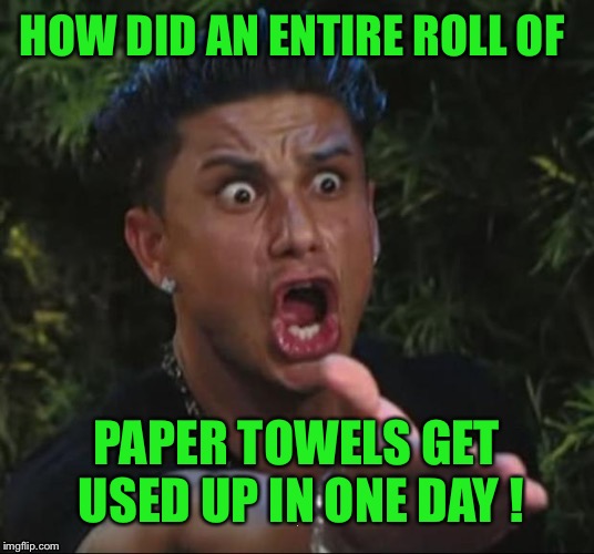HOW DID AN ENTIRE ROLL OF PAPER TOWELS GET USED UP IN ONE DAY ! | made w/ Imgflip meme maker