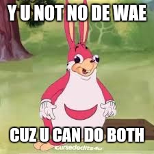 Ugandan chungles | Y U NOT NO DE WAE CUZ U CAN DO BOTH | image tagged in ugandan chungles | made w/ Imgflip meme maker