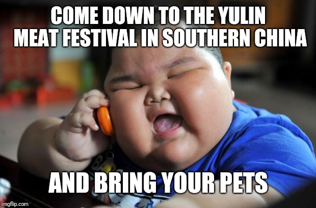 fat chinese kid | COME DOWN TO THE YULIN MEAT FESTIVAL IN SOUTHERN CHINA AND BRING YOUR PETS | image tagged in fat chinese kid | made w/ Imgflip meme maker