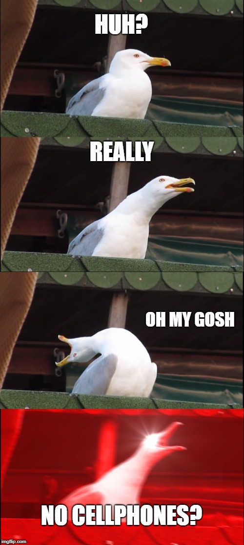 Inhaling Seagull | HUH? REALLY; OH MY GOSH; NO CELLPHONES? | image tagged in memes,inhaling seagull | made w/ Imgflip meme maker