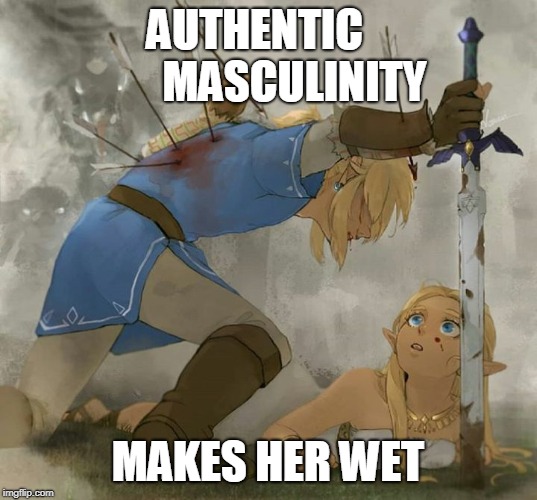 Link and zelda | AUTHENTIC         MASCULINITY; MAKES HER WET | image tagged in link and zelda | made w/ Imgflip meme maker