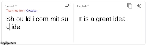 google translate gone wrong | image tagged in google translate,memes | made w/ Imgflip meme maker