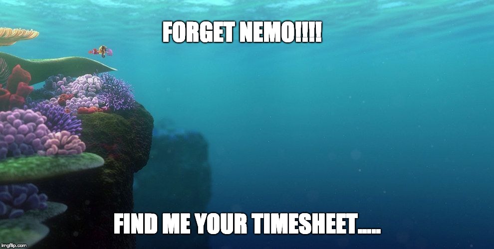 Finding Nemo TImesheet Reminder | FORGET NEMO!!!! FIND ME YOUR TIMESHEET..... | image tagged in finding nemo timesheet reminder,finding nemo,timesheet reminder,timesheet meme | made w/ Imgflip meme maker