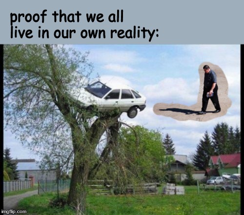 proof that we all live in our own reality: | image tagged in memes | made w/ Imgflip meme maker