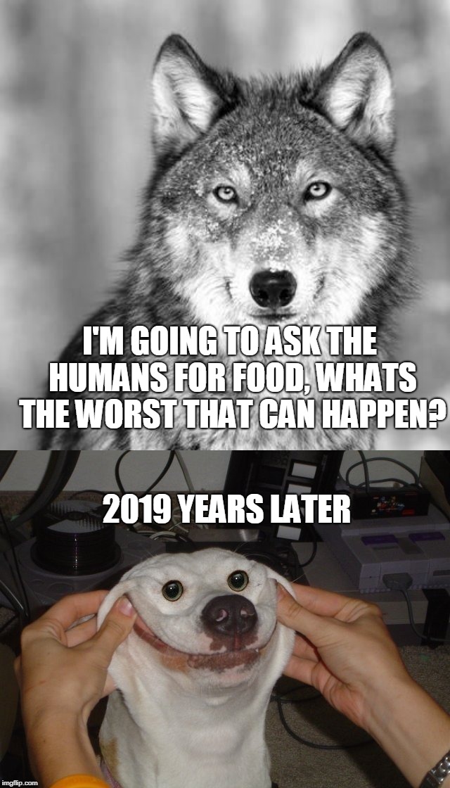 Oh dear | I'M GOING TO ASK THE HUMANS FOR FOOD,
WHATS THE WORST THAT CAN HAPPEN? 2019 YEARS LATER | image tagged in dogs,wolves | made w/ Imgflip meme maker