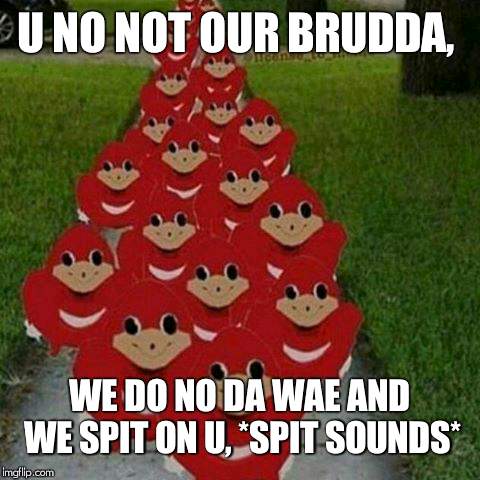 Ugandan knuckles army | U NO NOT OUR BRUDDA, WE DO NO DA WAE AND WE SPIT ON U, *SPIT SOUNDS* | image tagged in ugandan knuckles army | made w/ Imgflip meme maker