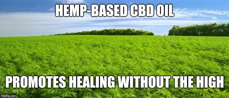 hemp | HEMP-BASED CBD OIL; PROMOTES HEALING WITHOUT THE HIGH | image tagged in hemp | made w/ Imgflip meme maker