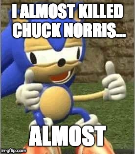 Drunk Sonic | I ALMOST KILLED CHUCK NORRIS... ALMOST | image tagged in drunk sonic | made w/ Imgflip meme maker