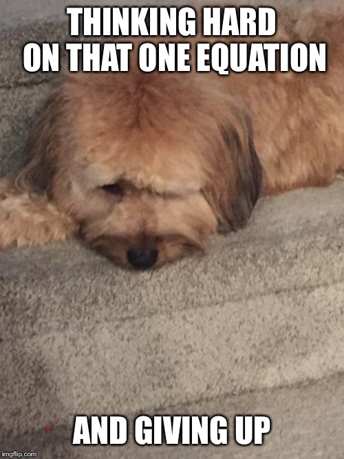 Thinking Hard and Giving Up | THINKING HARD ON THAT ONE EQUATION; AND GIVING UP | image tagged in dog,thinking,give up | made w/ Imgflip meme maker