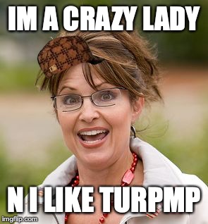 Sarah Palin | IM A CRAZY LADY; N I LIKE TURPMP | image tagged in sarah palin | made w/ Imgflip meme maker
