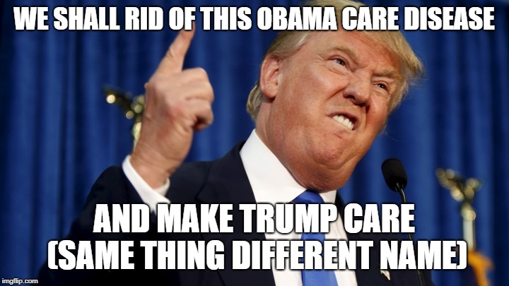 DONALD TRUMP FOR LIFE | WE SHALL RID OF THIS OBAMA CARE DISEASE; AND MAKE TRUMP CARE (SAME THING DIFFERENT NAME) | image tagged in donald trump | made w/ Imgflip meme maker