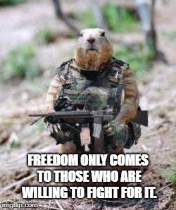 Freedom Fighters | FREEDOM ONLY COMES TO THOSE WHO ARE WILLING TO FIGHT FOR IT. | image tagged in freedom fighters | made w/ Imgflip meme maker