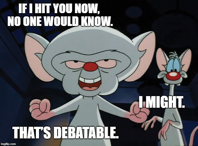 Pinky&Brain | IF I HIT YOU NOW, NO ONE WOULD KNOW. I MIGHT. THAT’S DEBATABLE. | image tagged in pinkybrain | made w/ Imgflip meme maker