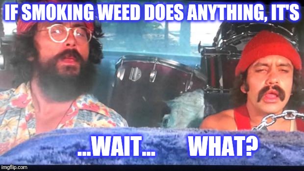cheech and chong | IF SMOKING WEED DOES ANYTHING, IT'S ...WAIT... WHAT? | image tagged in cheech and chong | made w/ Imgflip meme maker
