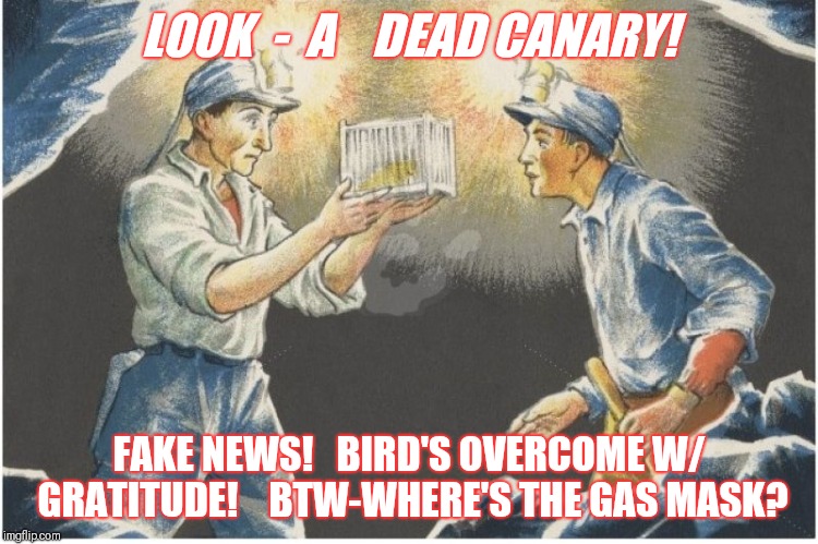 Canary in coal mine | LOOK  -  A    DEAD CANARY! FAKE NEWS! 
 BIRD'S OVERCOME W/ GRATITUDE! 
  BTW-WHERE'S THE GAS MASK? | image tagged in canary in coal mine | made w/ Imgflip meme maker
